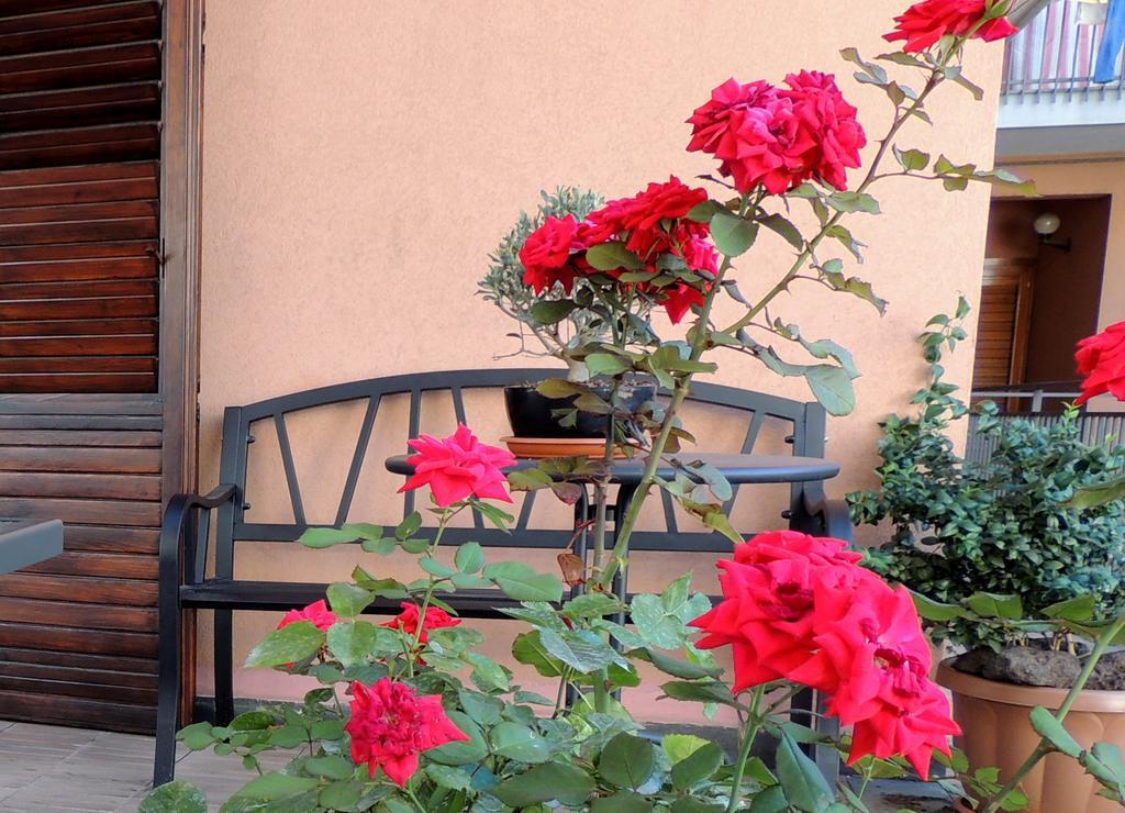 B&B Il Rosso E Il Nero Zafferana Etnea Ngoại thất bức ảnh