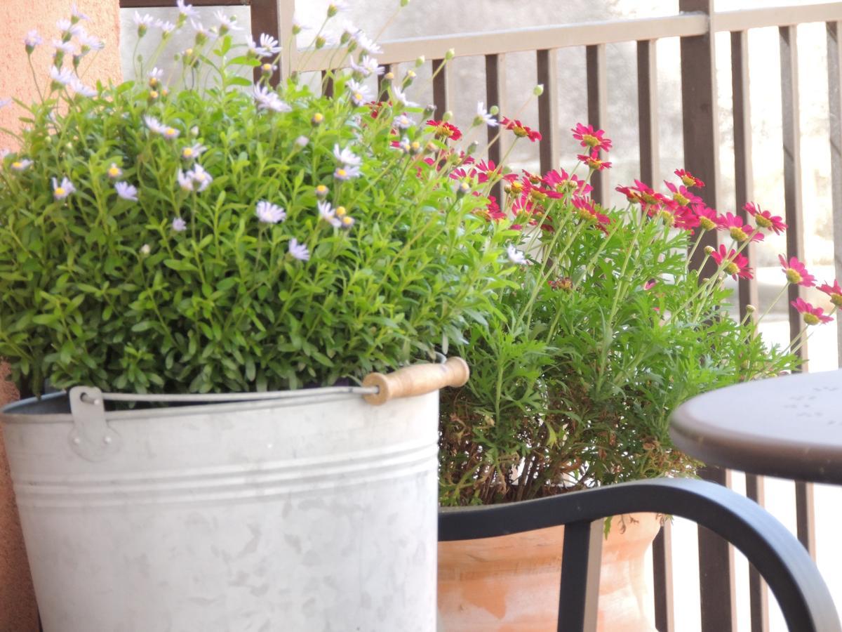 B&B Il Rosso E Il Nero Zafferana Etnea Ngoại thất bức ảnh